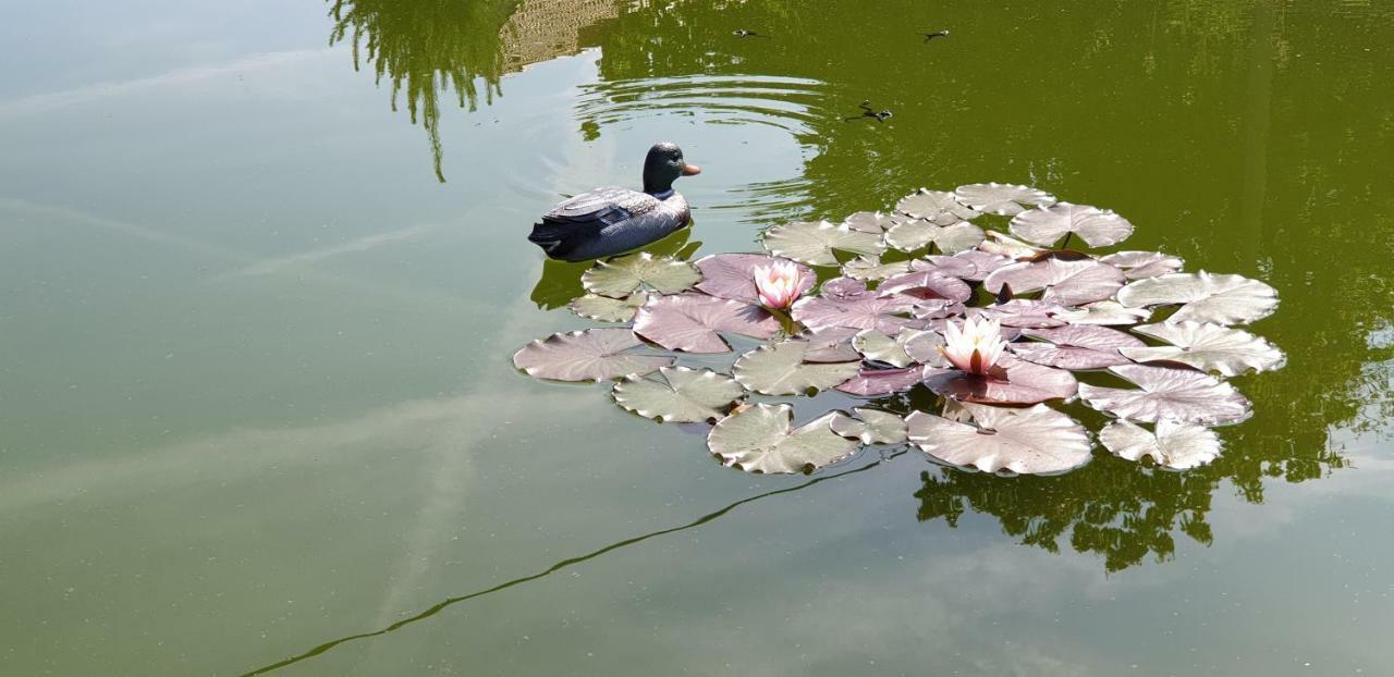 Penzion U Pepicka Netolice Bagian luar foto